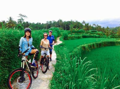 bersepeda di ubud bali